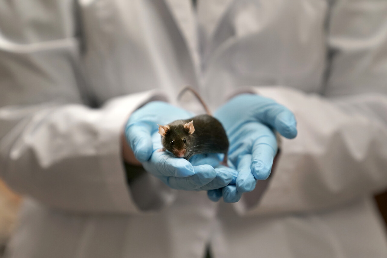 The government embraces AI lab rats | Tech Industry - Blind