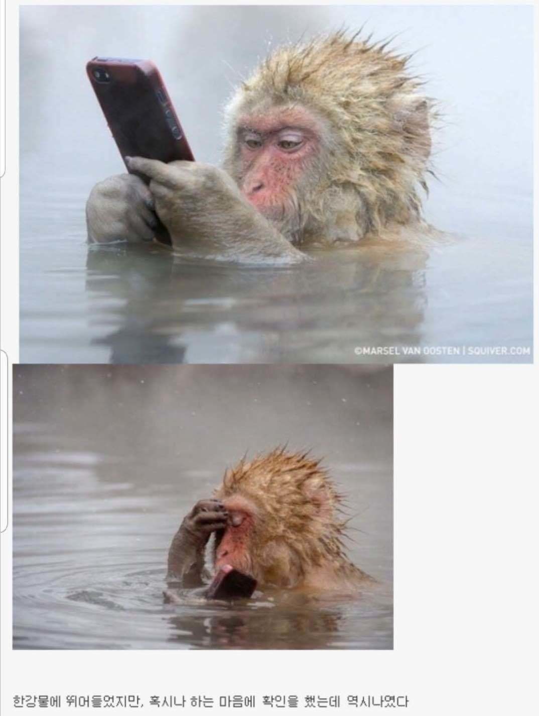 블라인드 | 주식·투자: 오늘자 주식요약 한장 짤