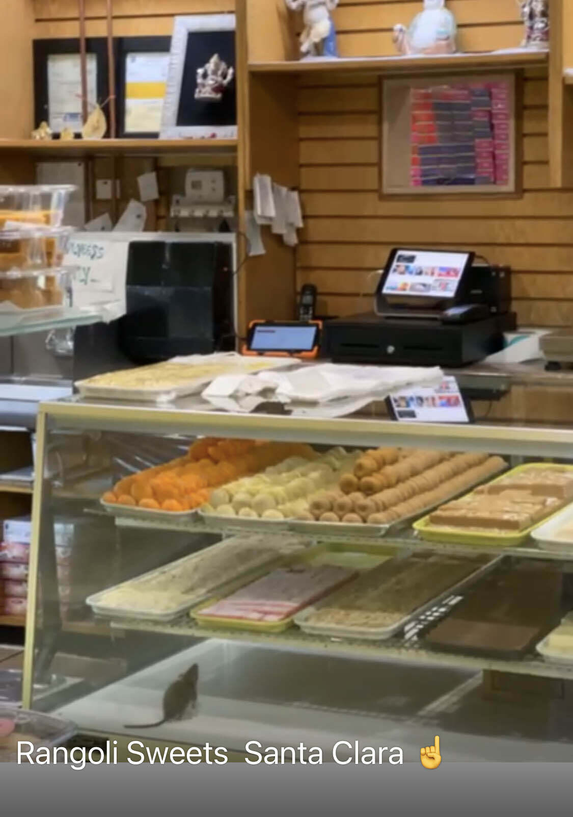 Rats in Rangoli sweets, Santa clara. Blind