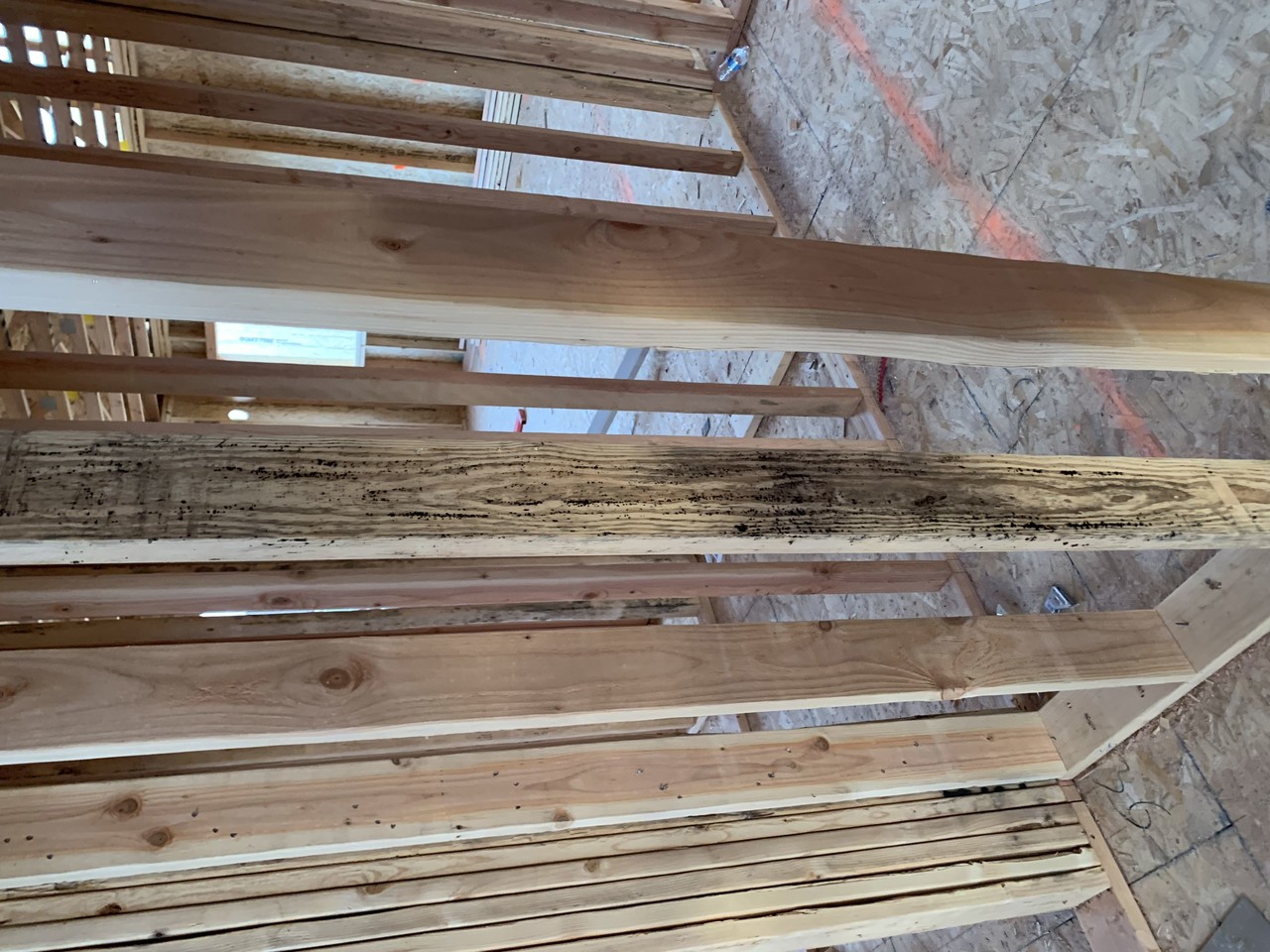 Mold in new construction house frame?
