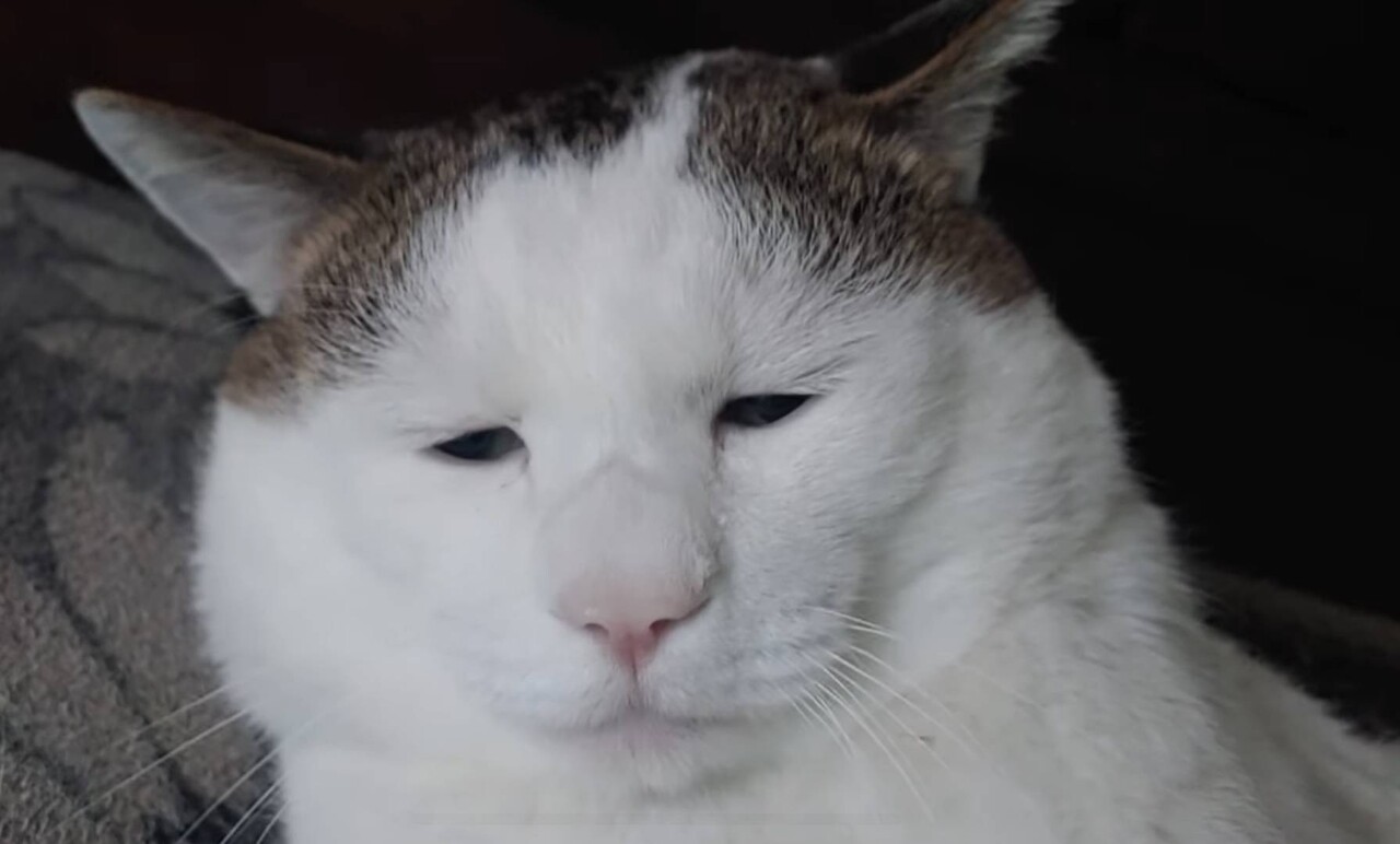 블라인드 | 암호화폐: 비트코인은 신이다