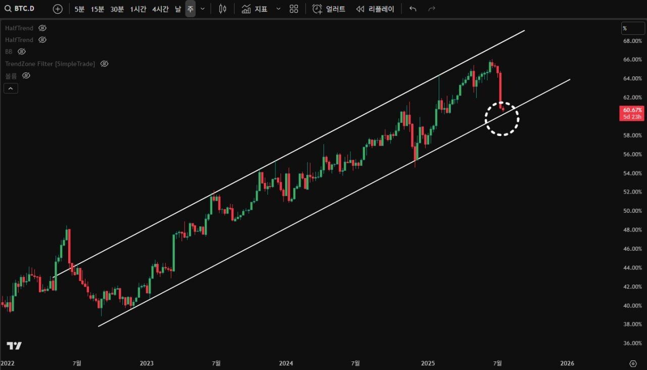 블라인드 | 암호화폐: 역시 비트도미
