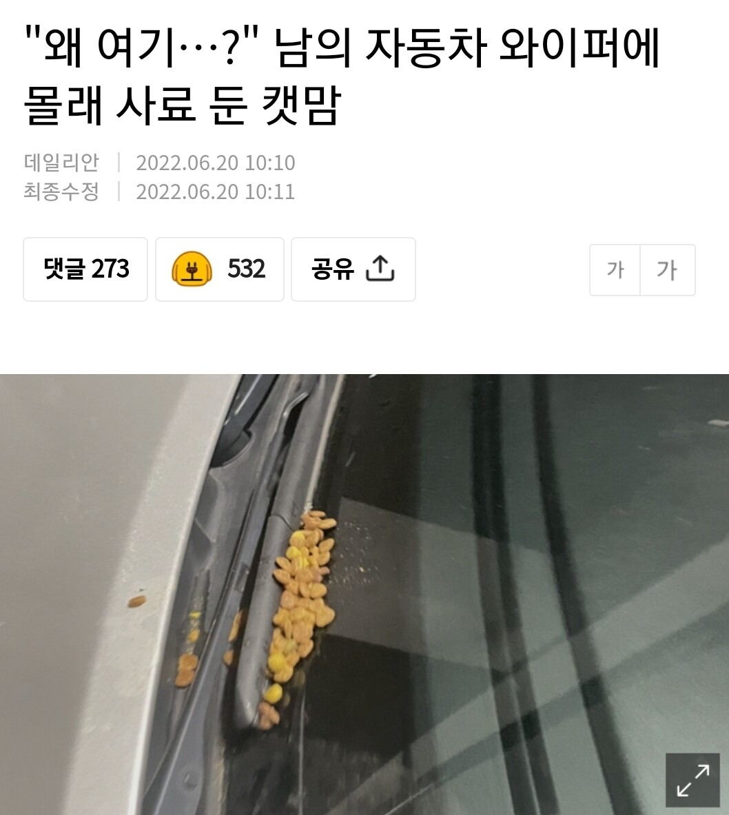 블라인드 | 블라블라: 캣맘 레전드