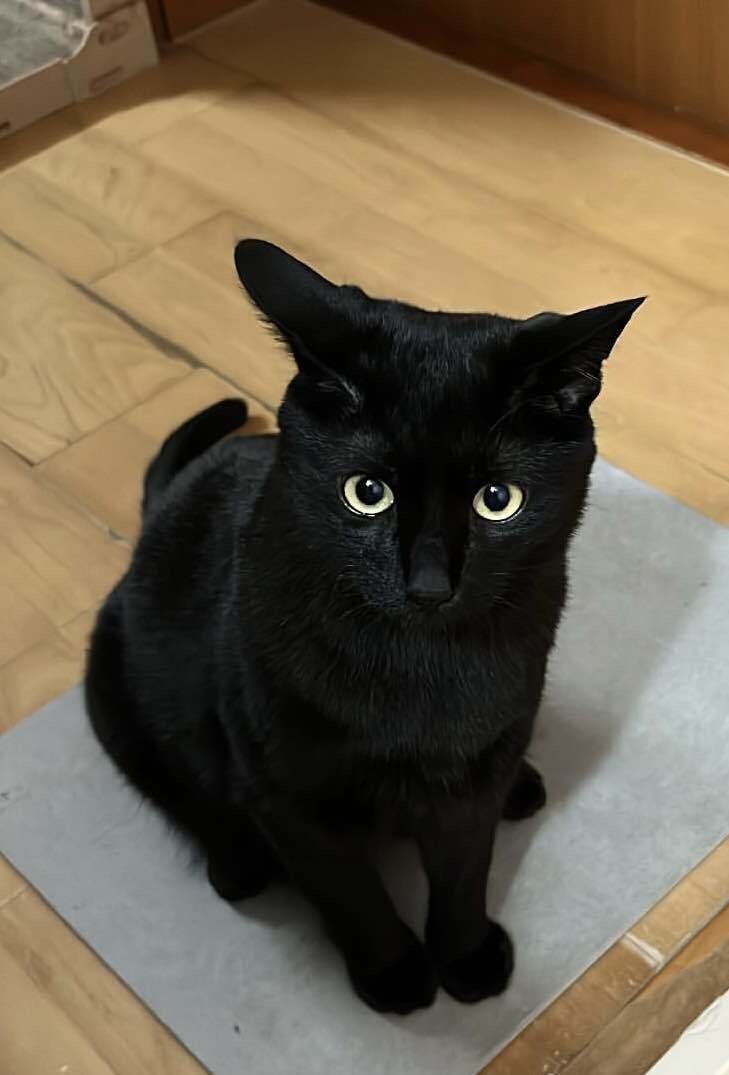 진짜 존귀 동영상 있는데