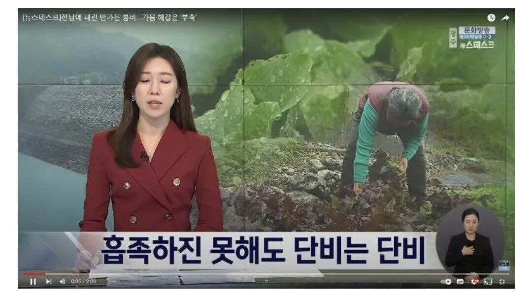 블라인드 | 블라블라: 단비가 취재하는 단비