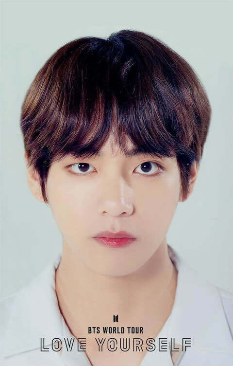 신기한 짝눈들 특징