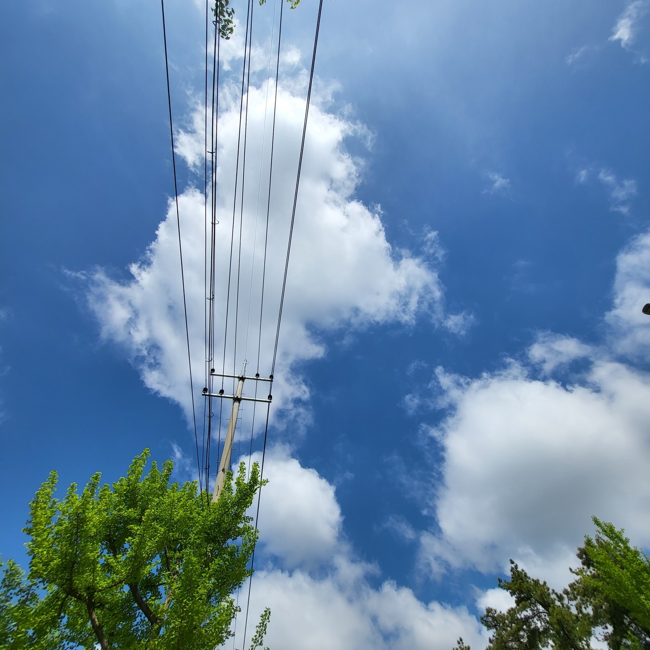 숨죽이는 숨죽이는 숨죽이는