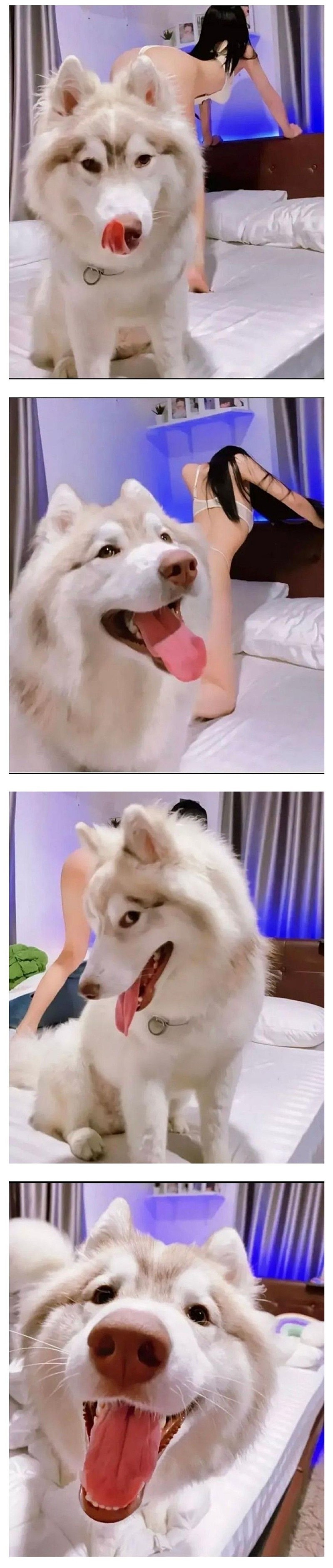 (후방)개X끼야 안비키나!!