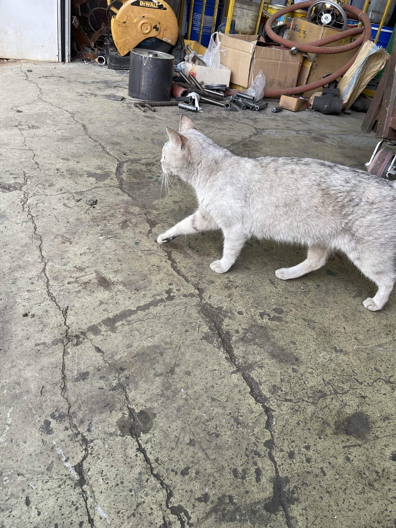 꼬질이👷🏻‍♂️