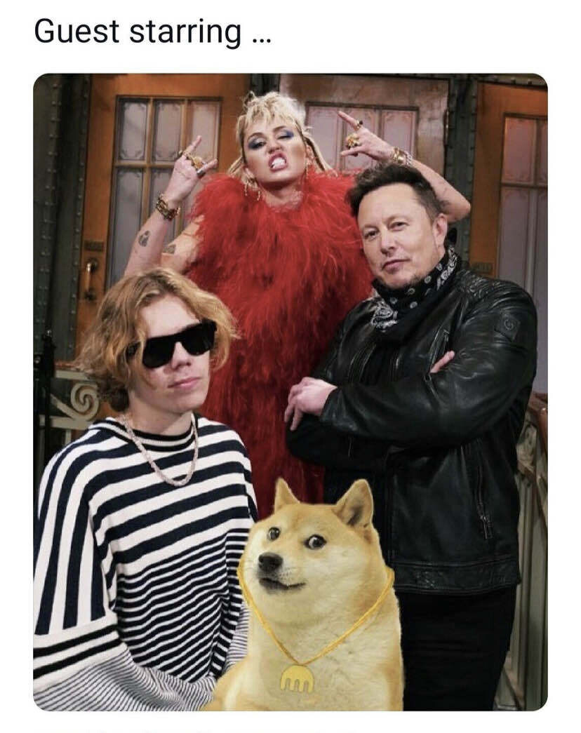 블라인드 | 암호화폐: 오늘 올라온 도지짤의 의미