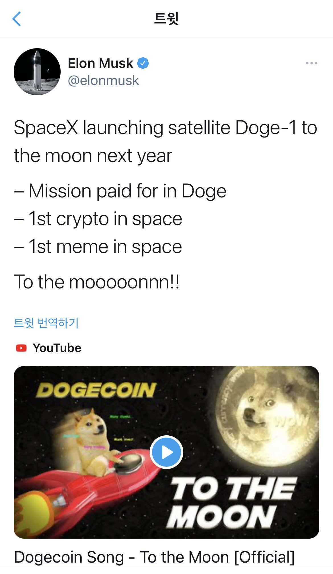 블라인드 | 암호화폐: 머스크형 가즈아