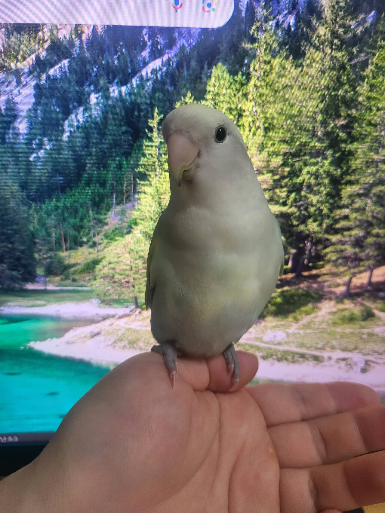 블라인드 | 암호화폐: 파일코인 아직도 안샀습니까