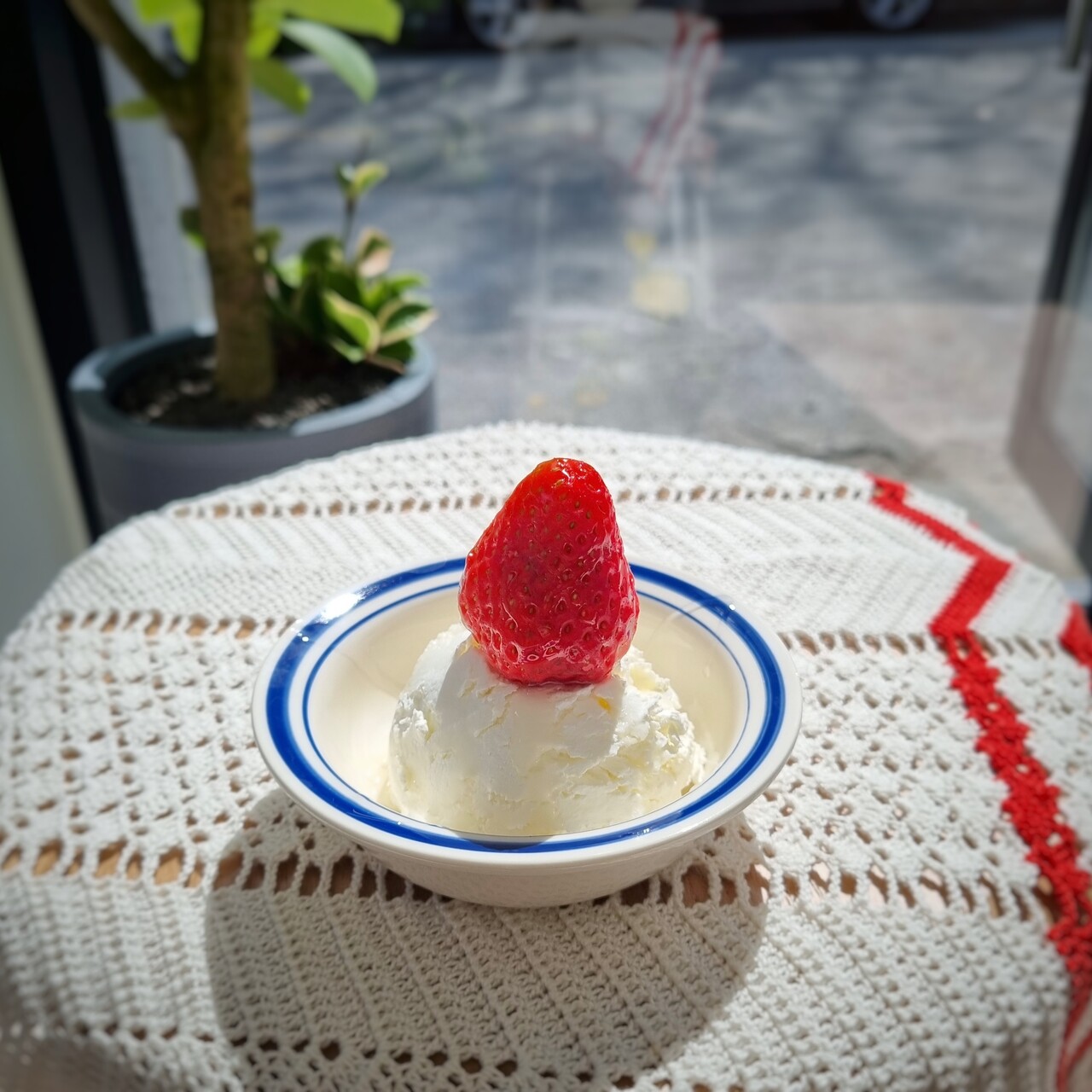 대전 갈마동 그릭요거트