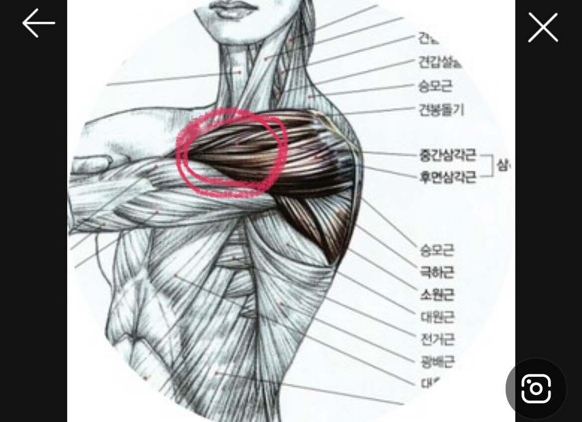 블라인드 | 헬스·다이어트: 어깨부상 명칭