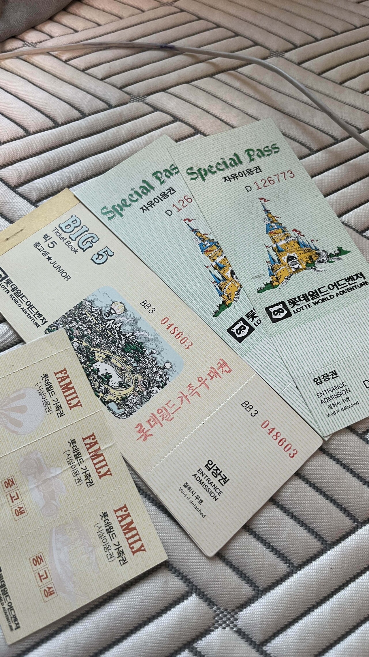 블라인드 | 나들이 명소: 롯데월드 빅5랑 자유이용권있는데 사용가능?