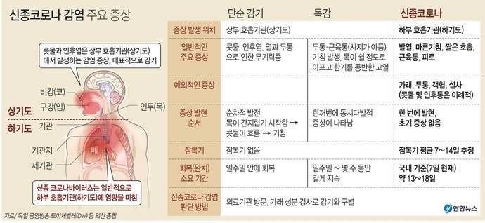 블라인드 | 코로나 바이러스: 코로나 19 증상이