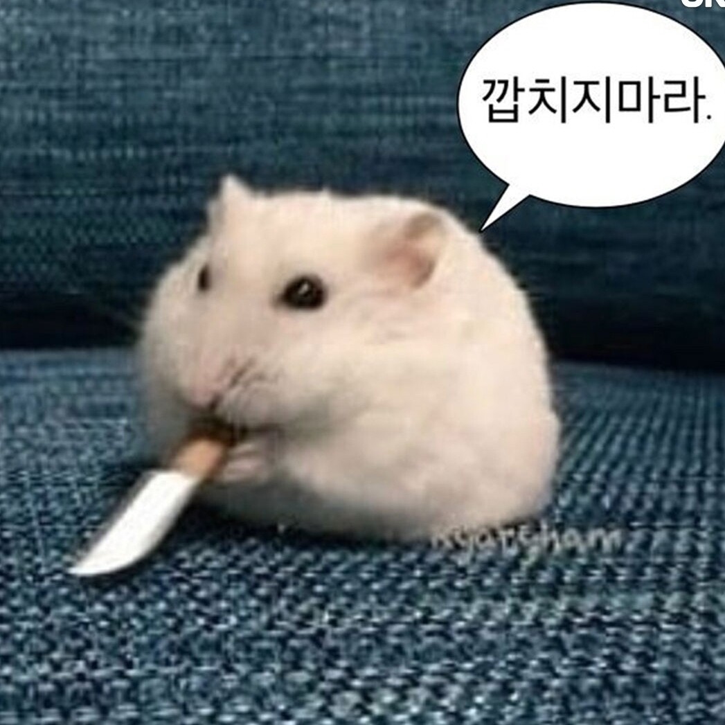 블라인드 | 블라블라: 히히히