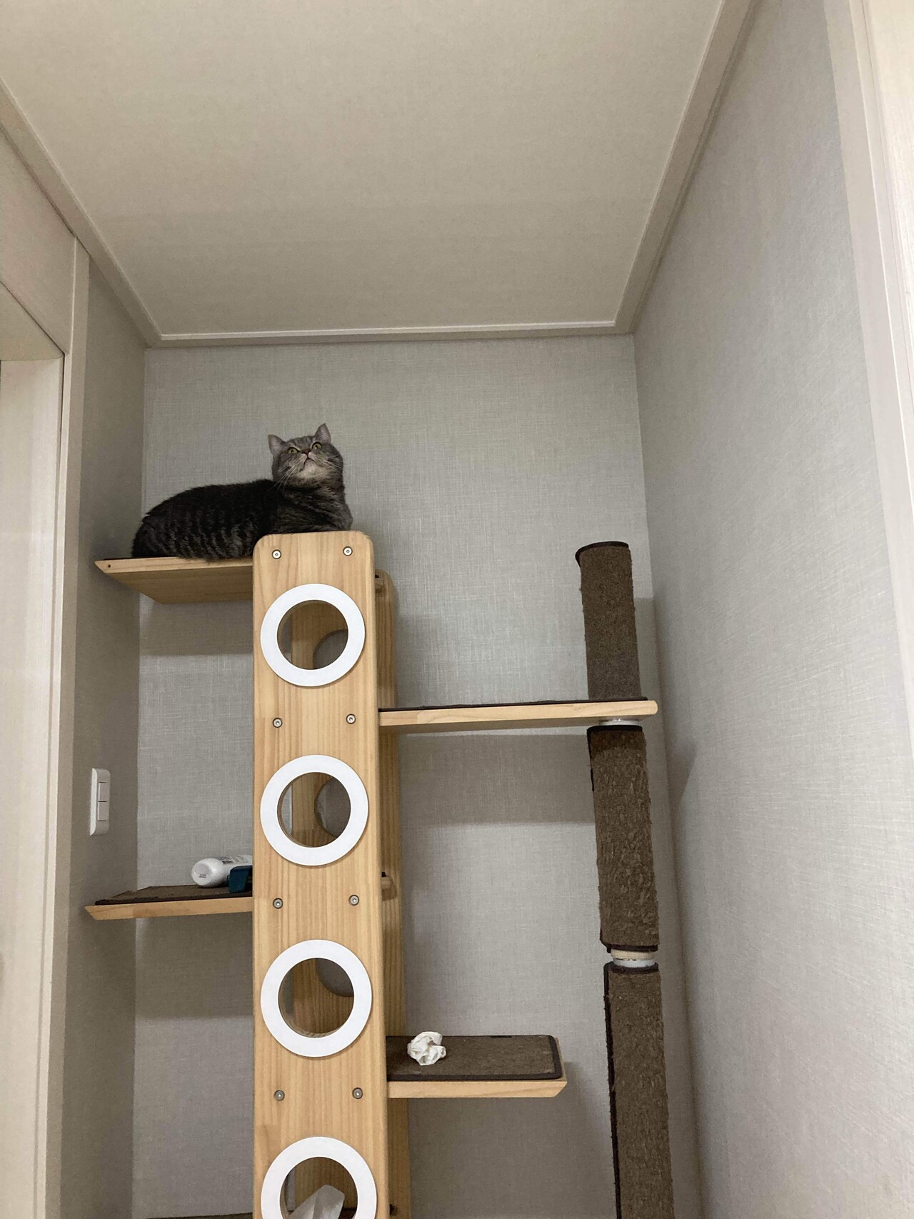 집에가서 애옹이 주무르고 싶다