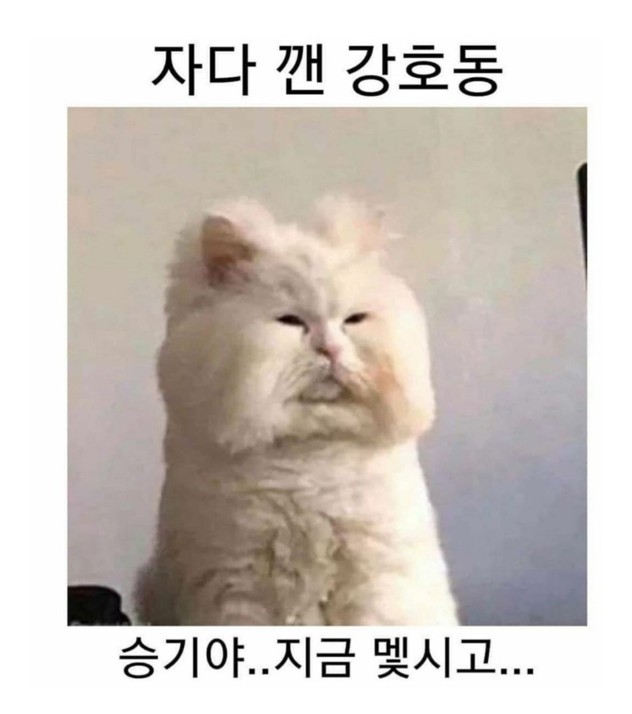 블라인드 | 블라블라: 자다 깬 강호동.jpg