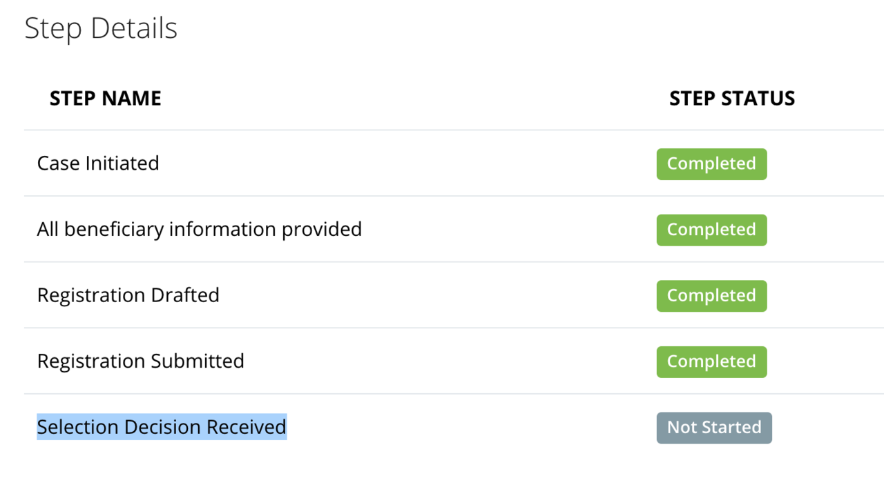 What does this status mean in INSZOOM? Blind