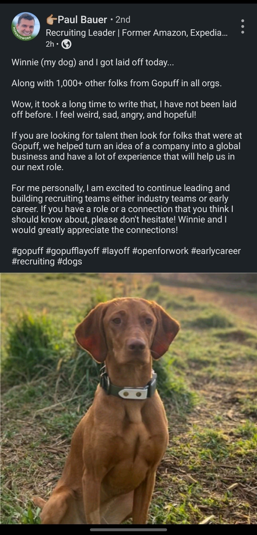 So much for Gopuff...