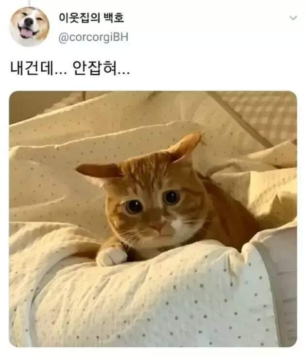 냥무룩