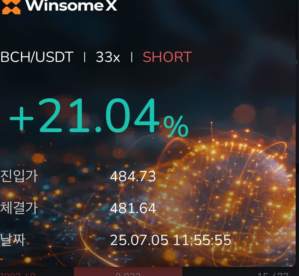 블라인드 | 암호화폐: 비트코인캐시 숏이나 쳐라