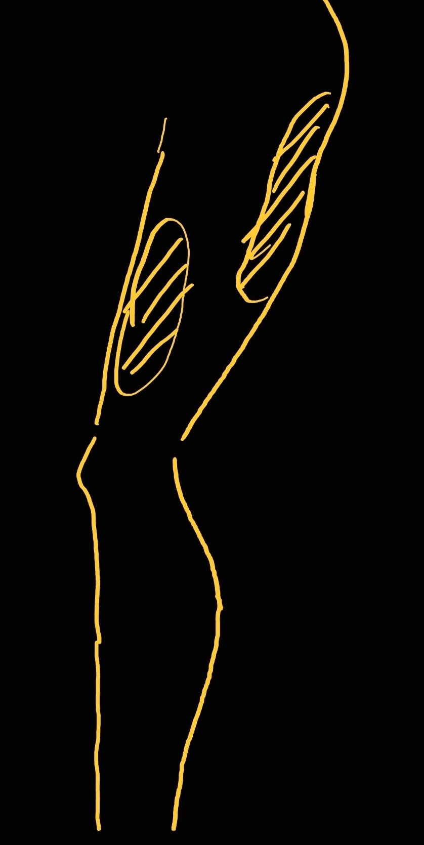 형들 스쿼트 할때 자극 질문...