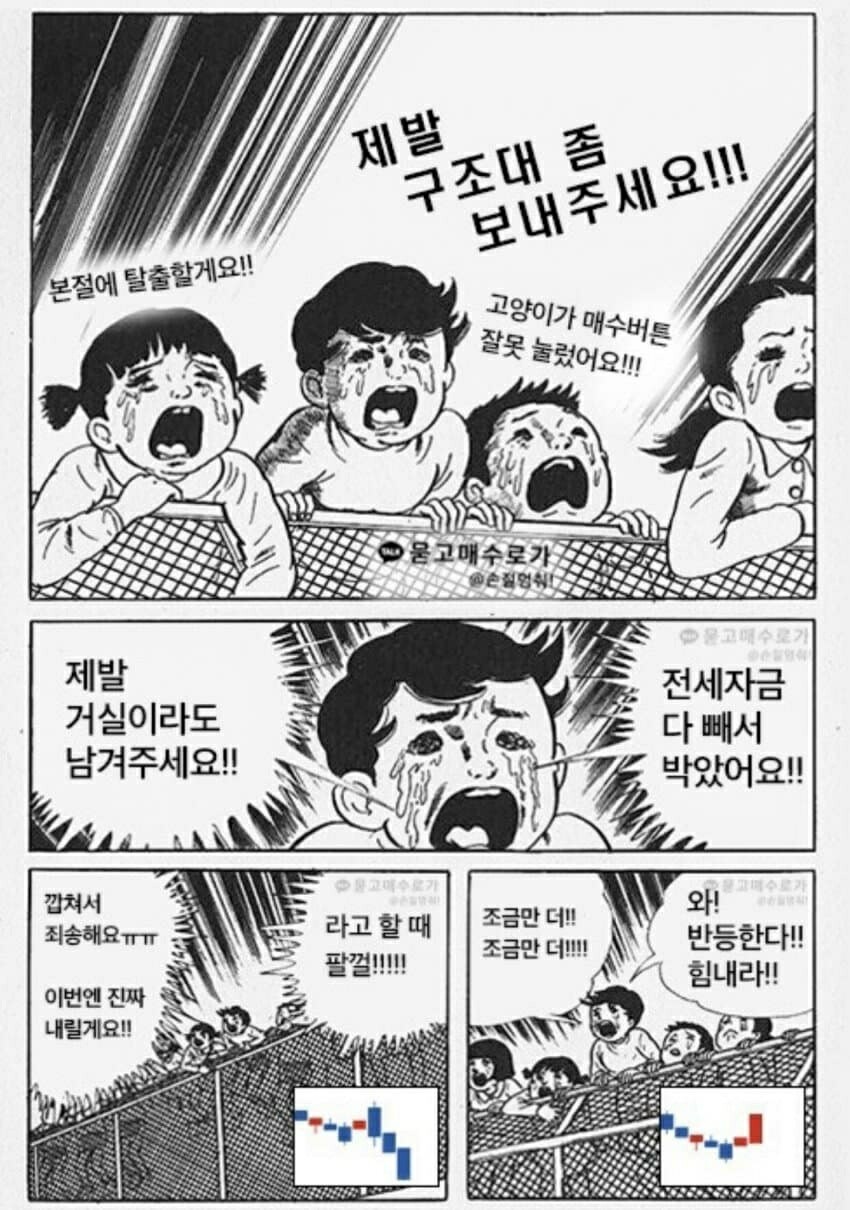 블라인드 | 암호화폐: 9월 불장이 오리라는 믿음에는 변함이 없다
