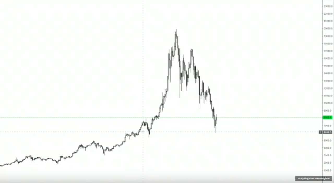 블라인드 | 주식·투자: 지금 테슬라가 어떤 상황인지 요약