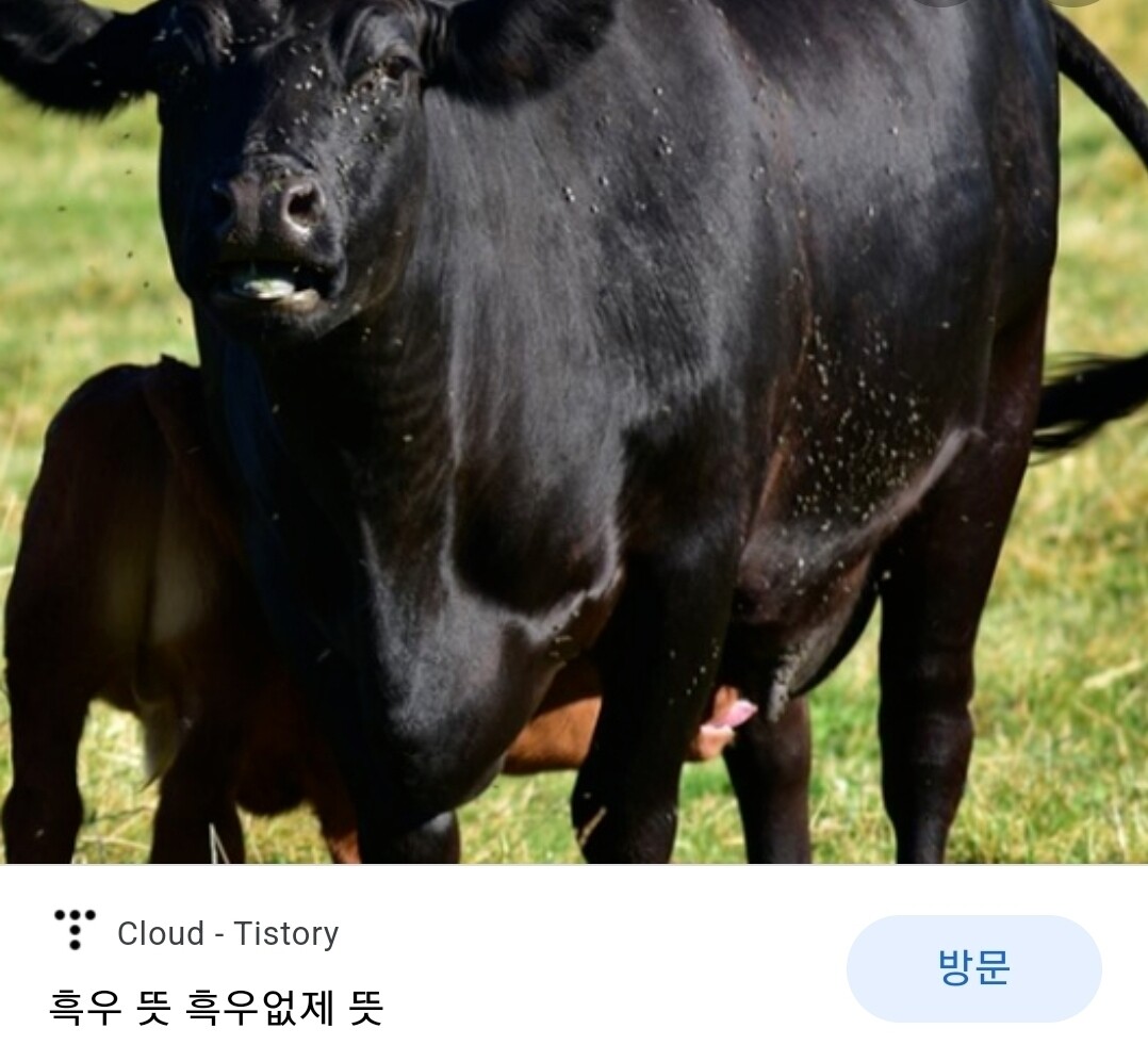 블라인드 | 부동산: 흑우들 현재상황