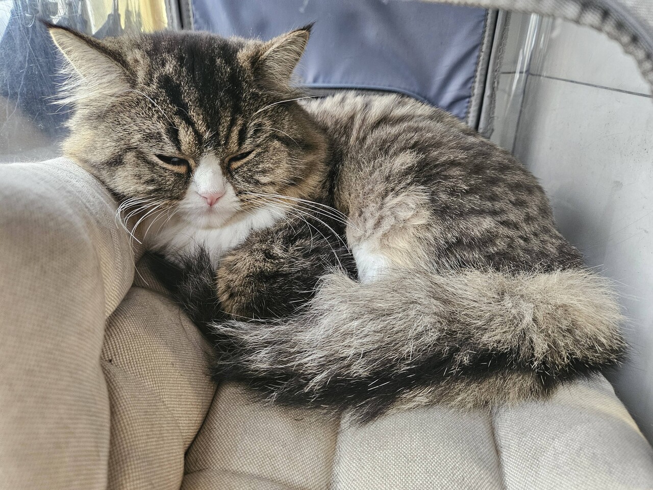 하루 종일 잠 (87) 사진