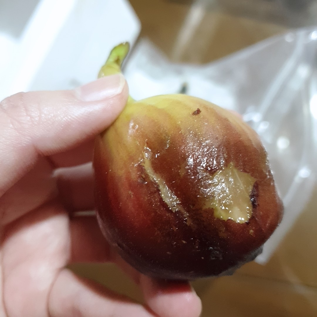 블라인드 | 블라블라: 무화과 처음 시켜봤는데 이런 상태가 정상맞아?