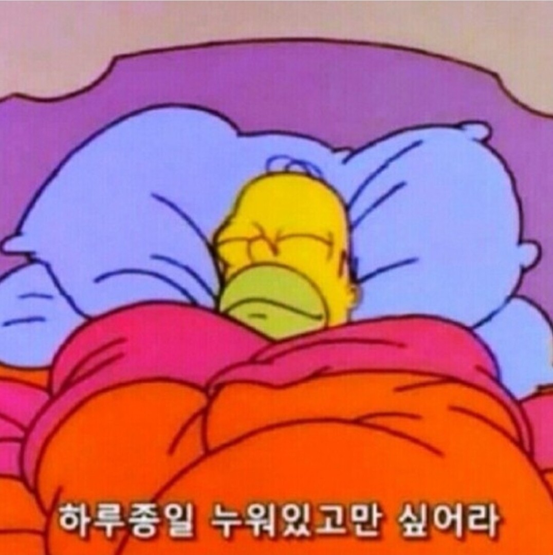 블라인드 | 블라블라: 자몽다,,