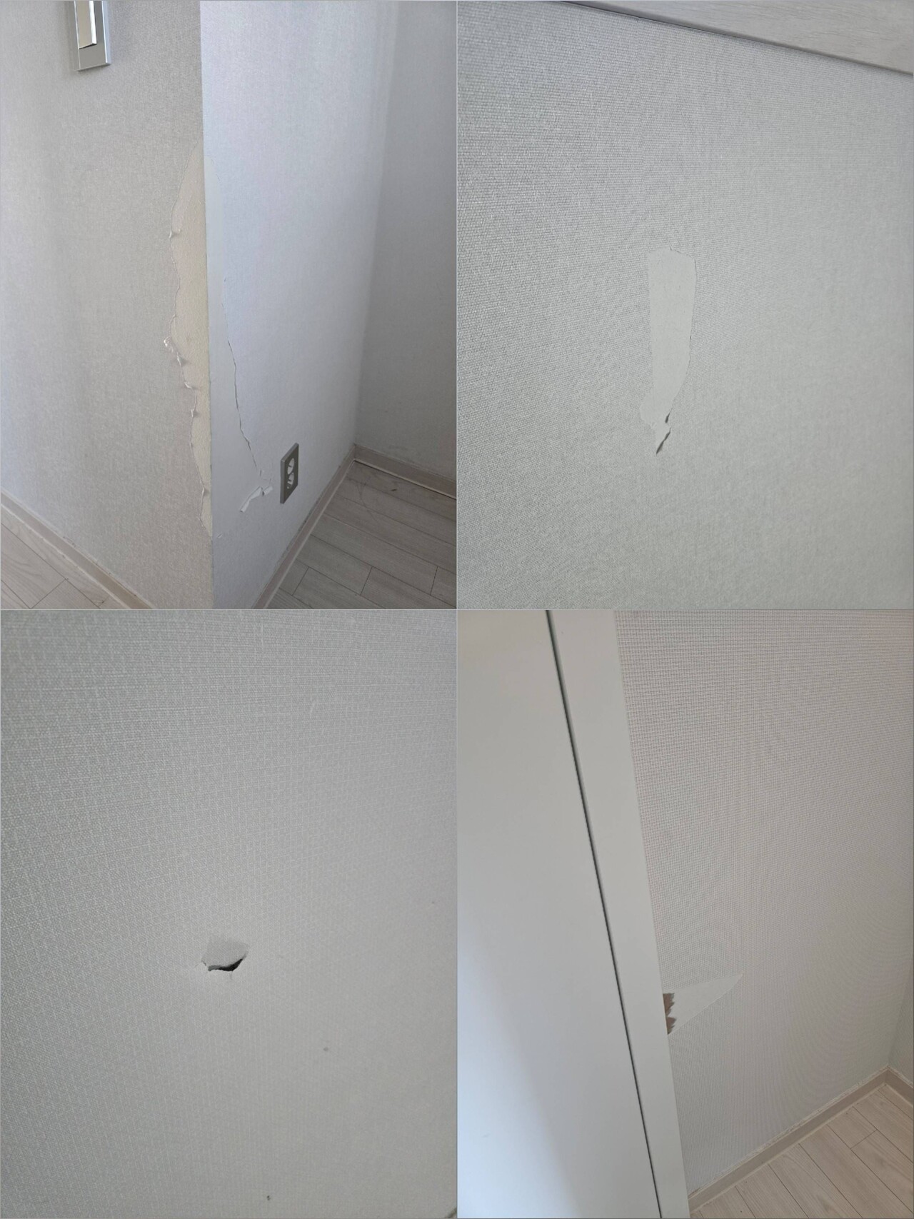 블라인드 | 부동산: ㅁㅊ전세입자 쓰레기 버리고 집 망가뜨리고 튐
