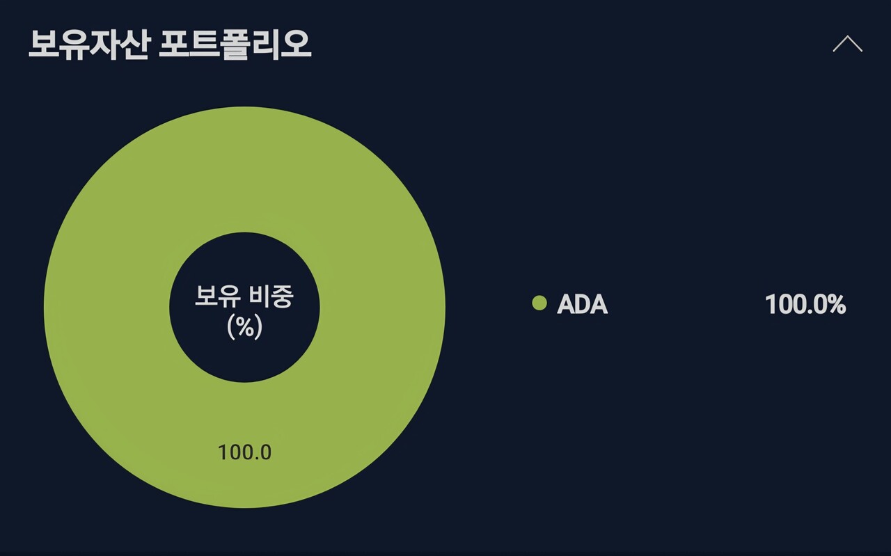 블라인드 | 암호화폐: 이제는 시간이왔다 ADA