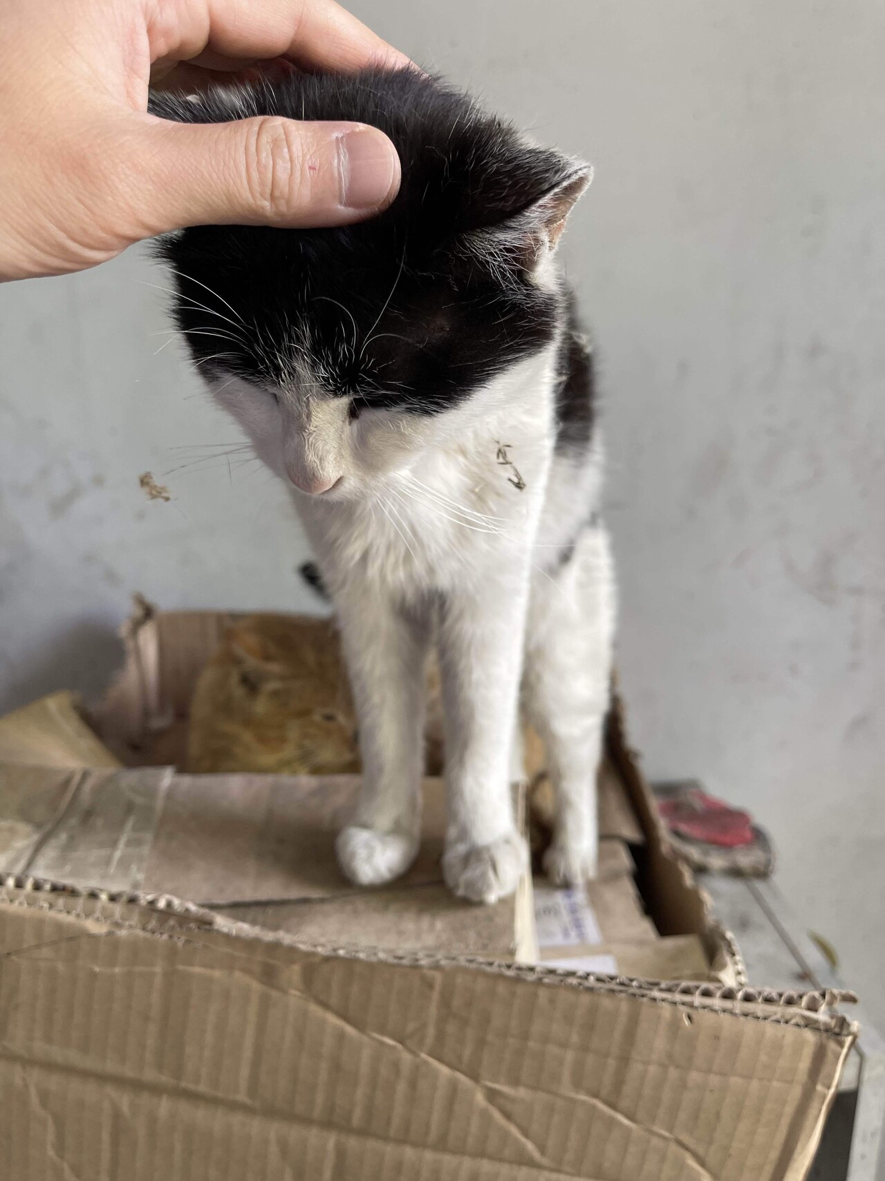 꼬질이👷🏻‍♂️