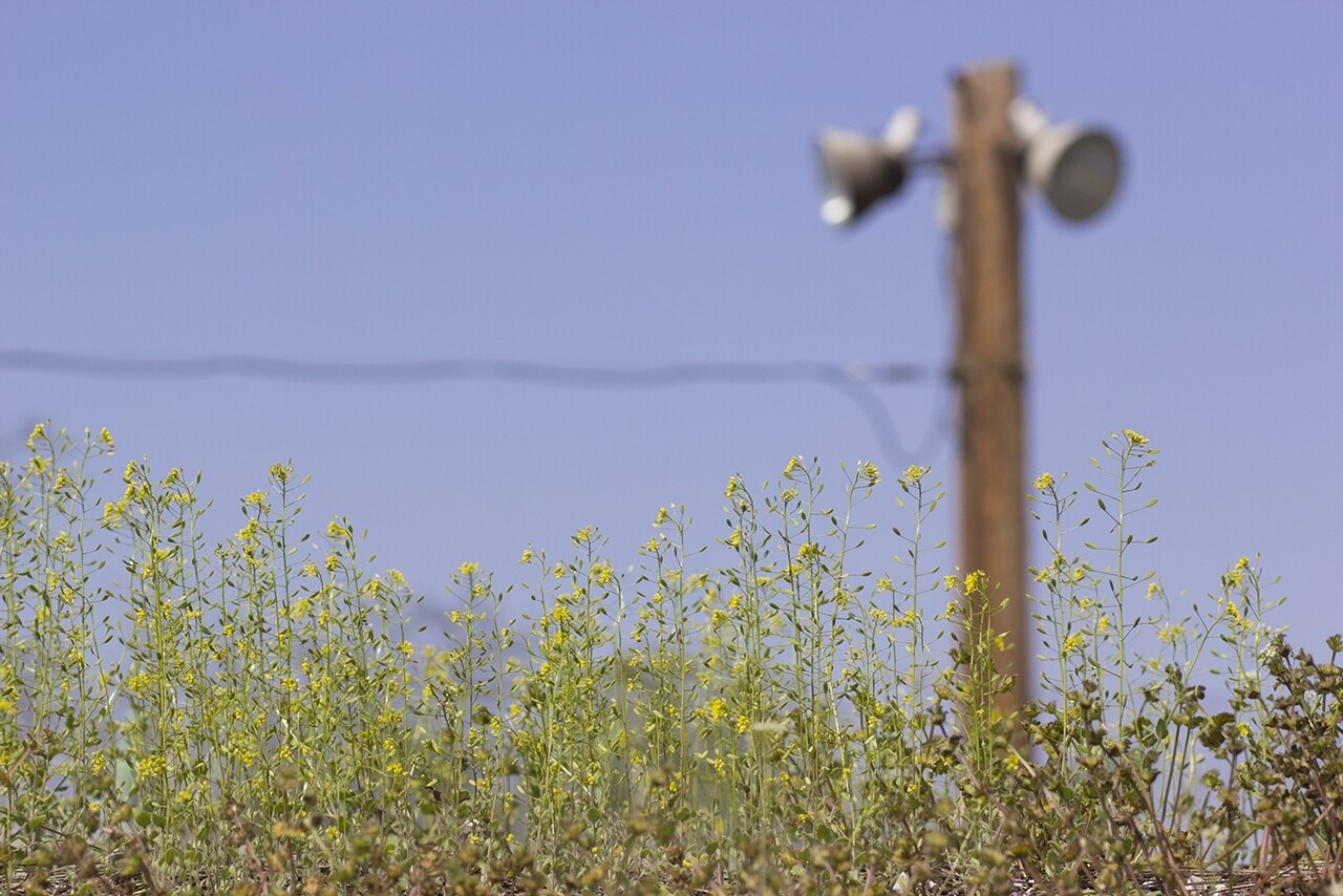 출사ㅏㅏㅏㅏㅏㅏㅏ