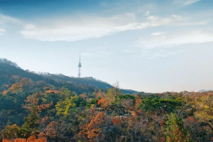 호텔 전망 어디가 좋아