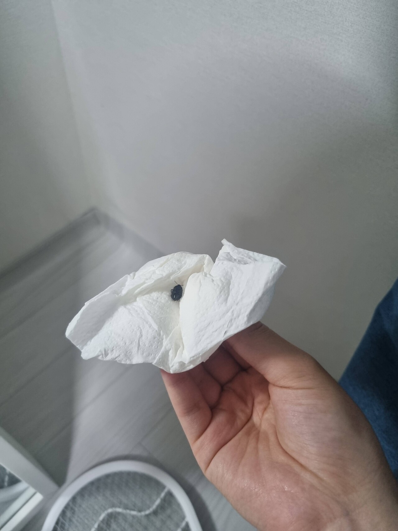 블라인드 | 블라블라: 혐짤주의