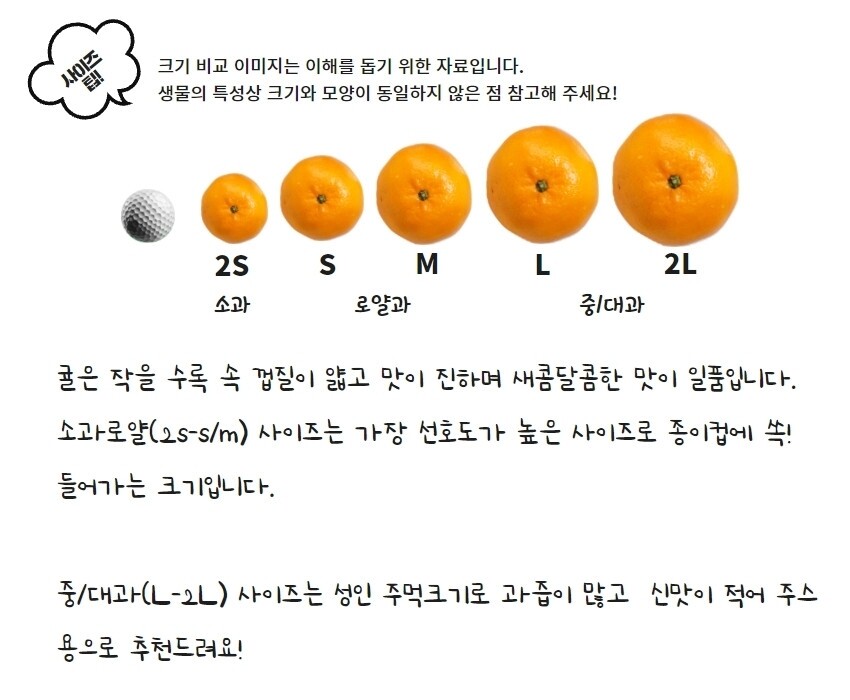 블라인드 | 직접 홍보: