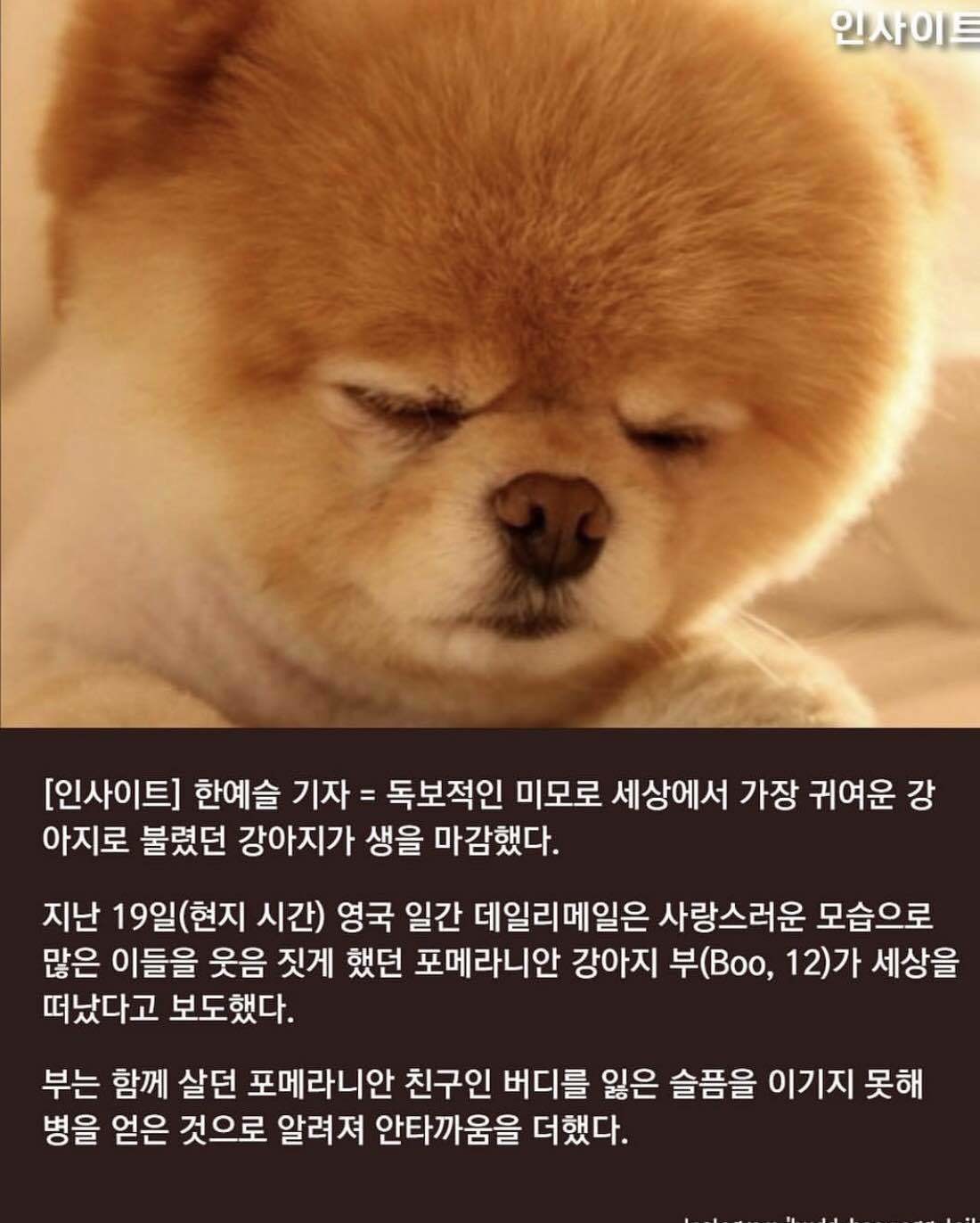 블라인드 | 블라블라: 헐 부우