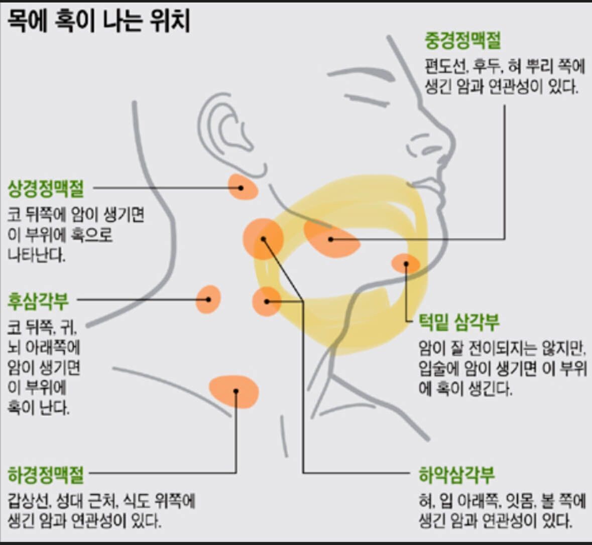 블라인드 | 의료·시술: 턱 밑 멍울