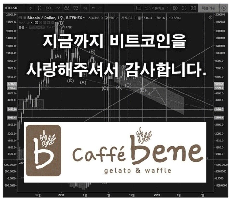 블라인드 | 암호화폐: 도지 그만해 쫌....