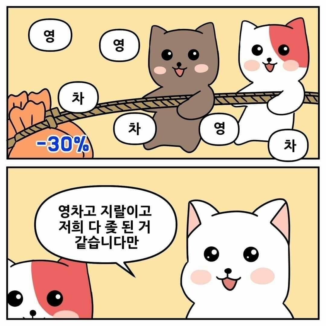 블라인드 | 암호화폐: 빨리해 요샌 이걸 안하는것 같어
