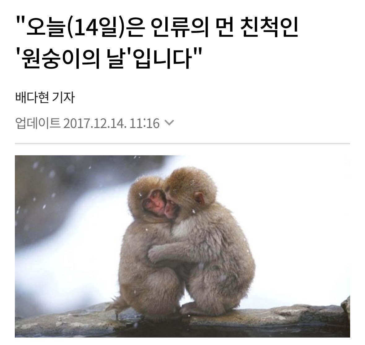 블라인드 | 암호화폐: 폰케 진입시점 알려준다