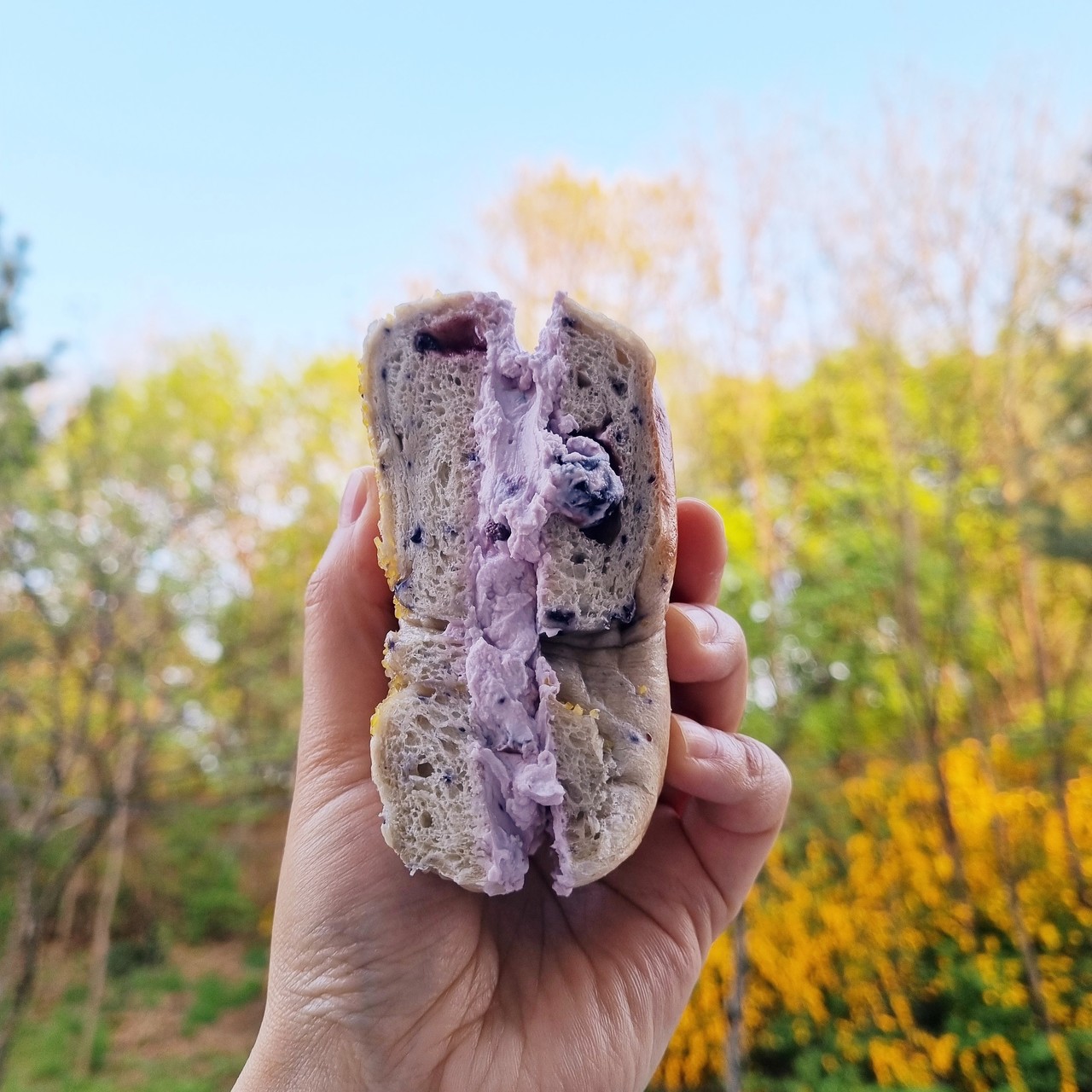 대전 갈마동 그릭요거트