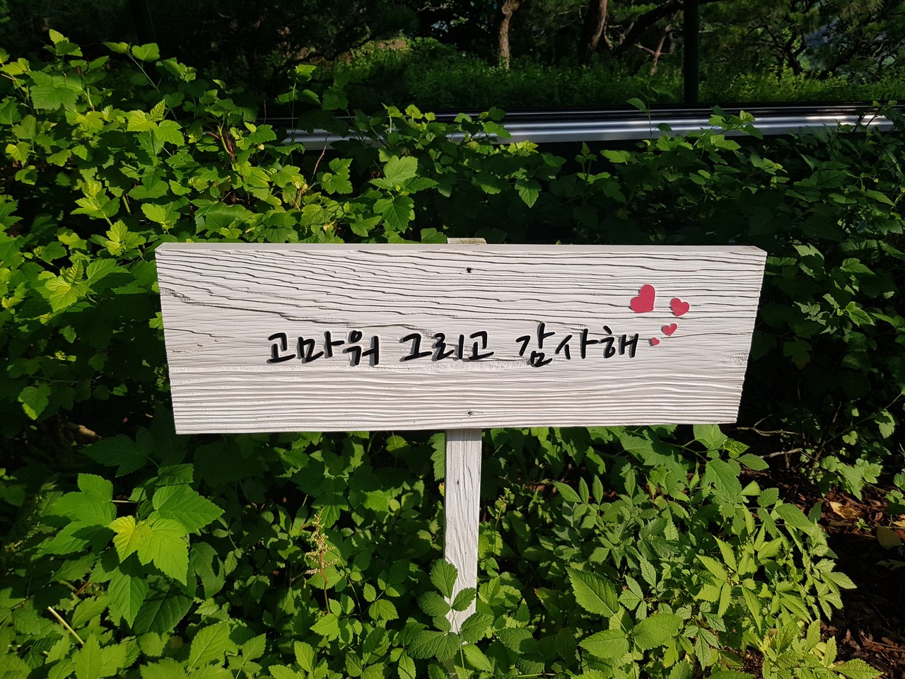 블라인드 | 주식·투자: 삼화 3형제 잘 간다