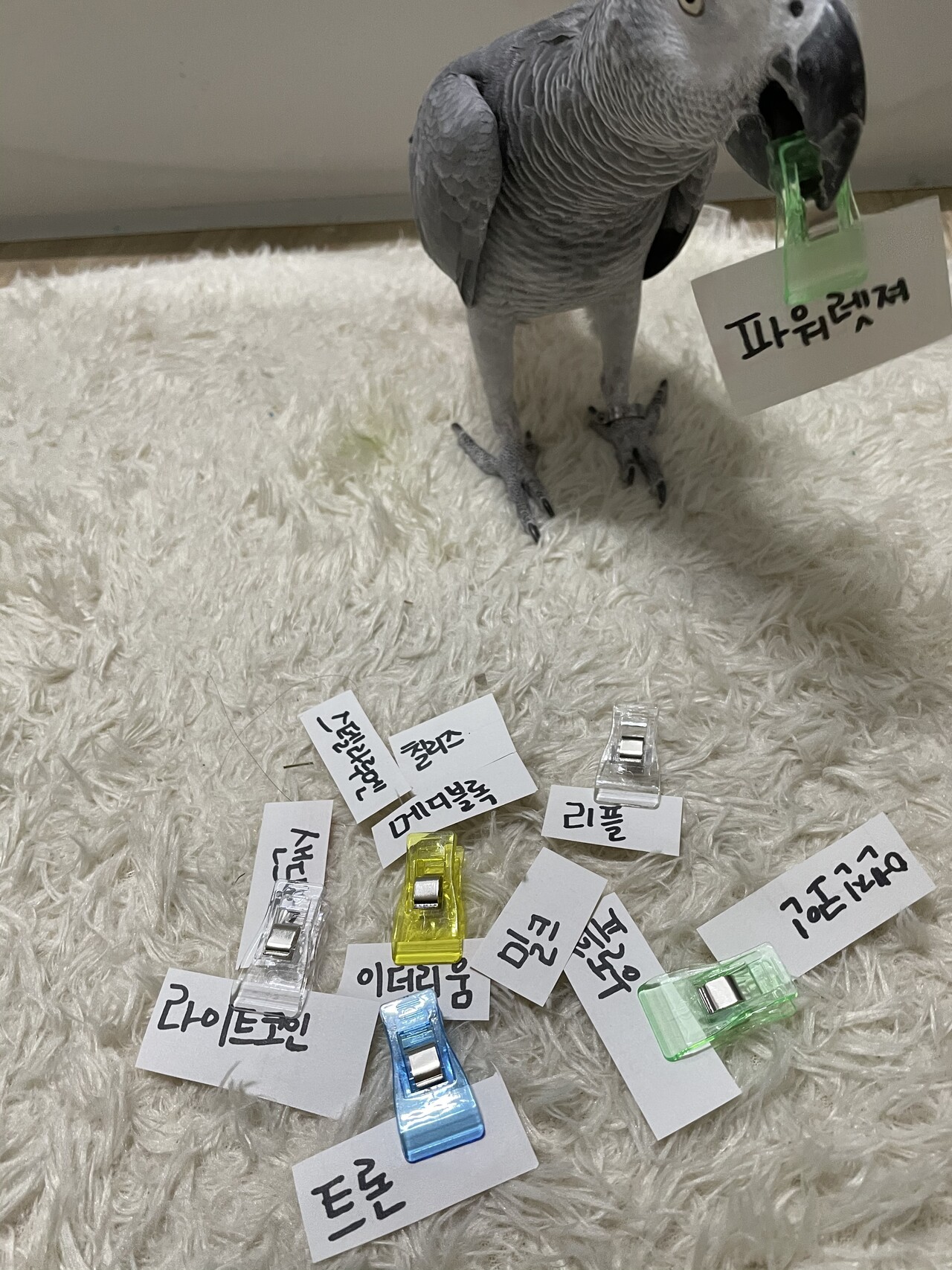 블라인드 | 암호화폐: 파워렛저 1만 가능이유 (사진첨부)