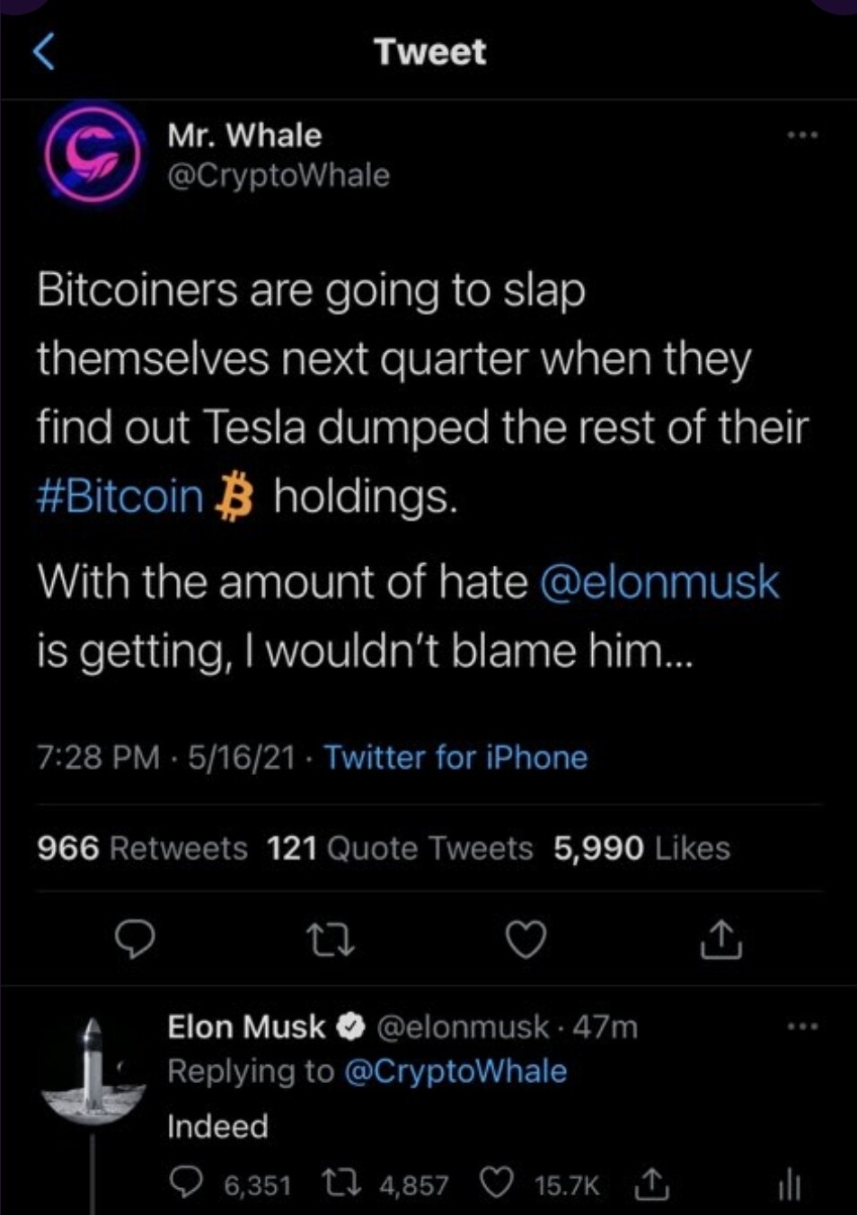 블라인드 | 암호화폐: 일론머스크 트위터 해석